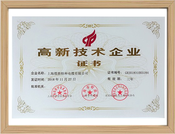 上海市高新技術(shù)企業(yè)證書(shū) 上海市高新技術(shù)企業(yè)證書(shū)