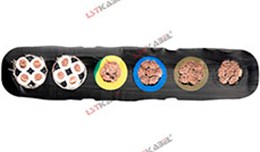 行車專用電纜 行車專用電纜