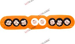 天車扁電纜 天車扁電纜