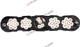 電梯扁電纜 電梯扁電纜