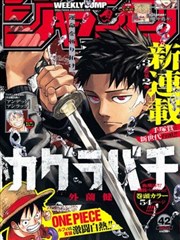 雾中侦探作品封面